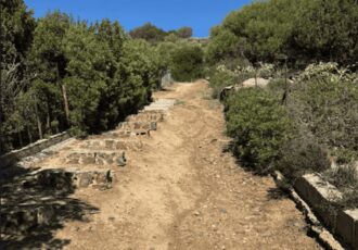 WhatsApp Image 2025-12-16 at 10.20.25 (3)